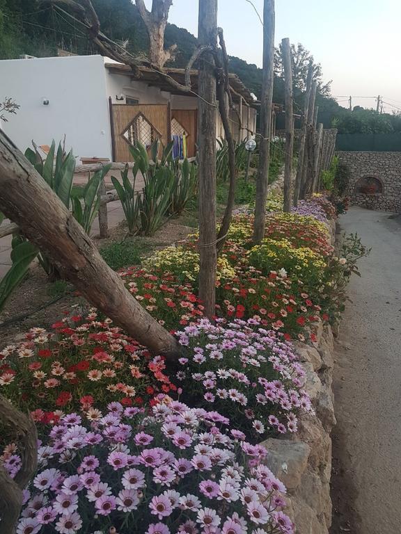 Agriturismo Del Sole Anacapri  Exteriér fotografie