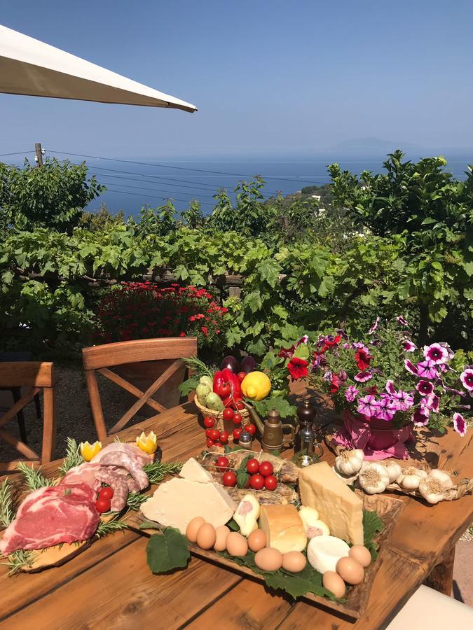 Agriturismo Del Sole Anacapri  Exteriér fotografie