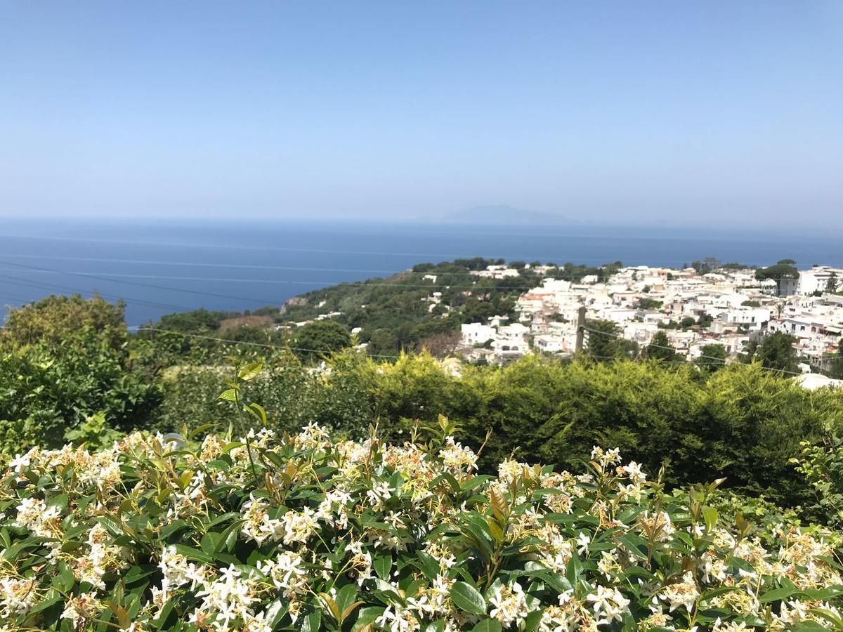 Agriturismo Del Sole Anacapri  Exteriér fotografie